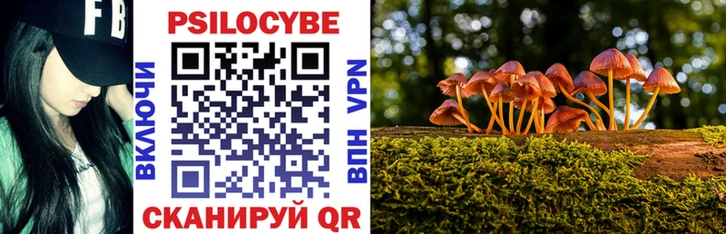 как найти закладки  Усть-Лабинск  Галлюциногенные грибы ЛСД 