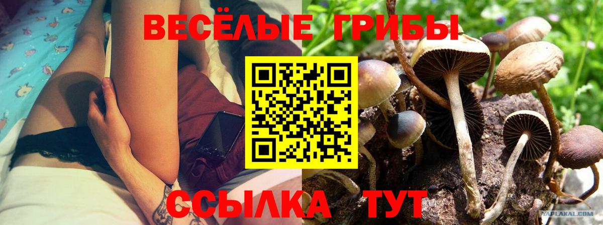 Псилоцибиновые грибы прущие грибы  купить наркоту  Псилоцибиновые грибы мицелий  Усть-Лабинск  Вход с VPN 
